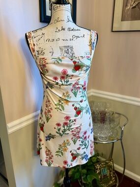 Cider Floral Strawberry Print Mini Dress Stretch Cottagecore Size M